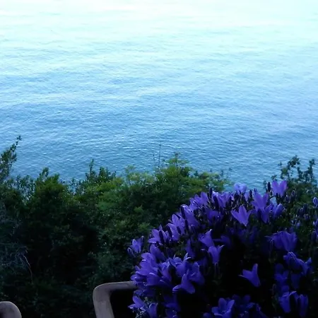 Magical Days,spectacular View In 아파트 *