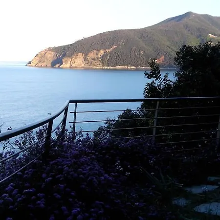 Magical Days,spectacular View In *