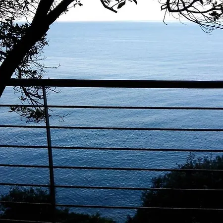 Magical Days,spectacular View In